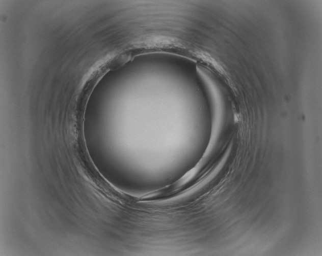 X0000070180392200606021038