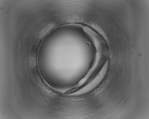 X0000070180393200606021038