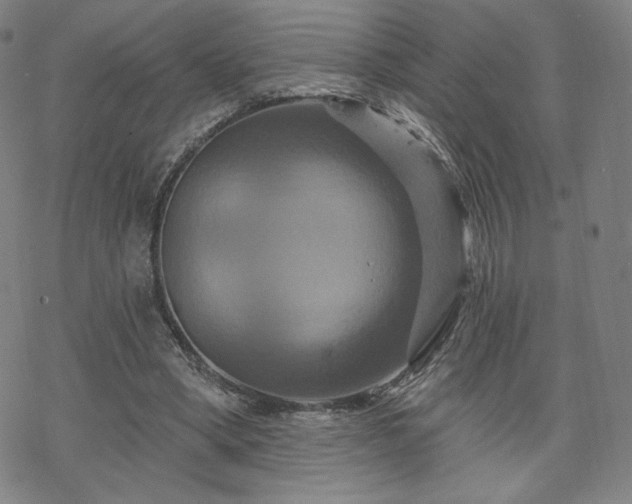 X0000070180394200606021037