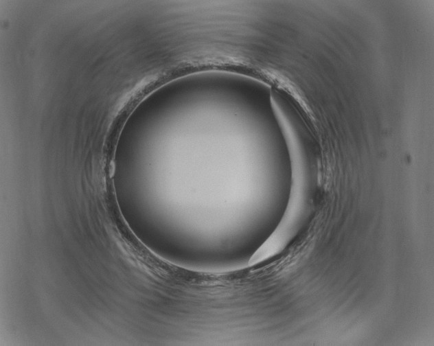 X0000070180395200606021037