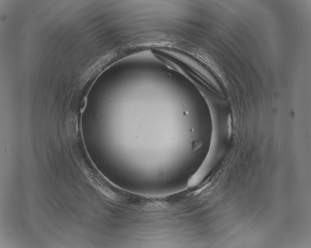 X0000070180397200606021037