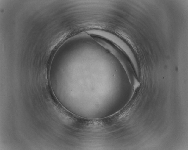 X0000070180398200606021037