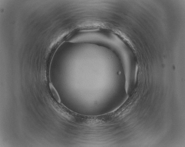 X0000070180399200606021037