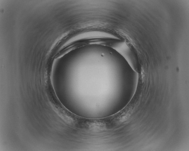 X0000070180400200606021037