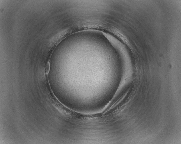 X0000070180401200606021037