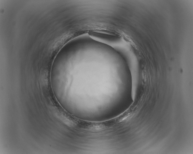 X0000070180402200606021037