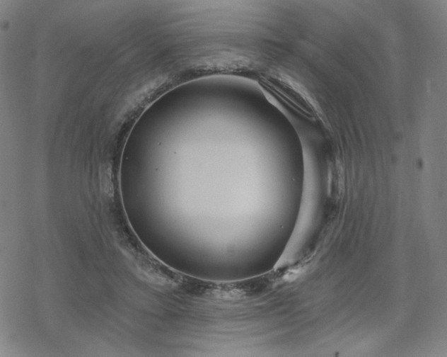 X0000070180403200606021037