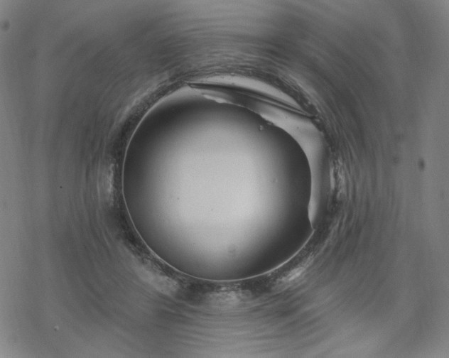 X0000070180404200606021037