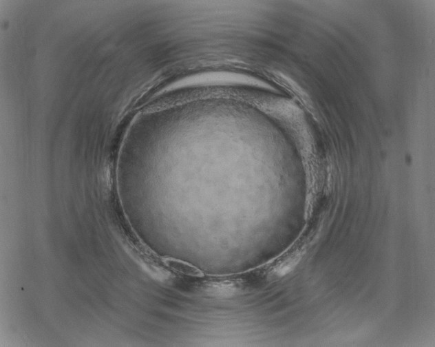 X0000070180405200606021037