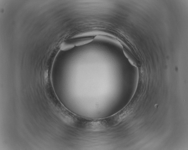 X0000070180406200606021037