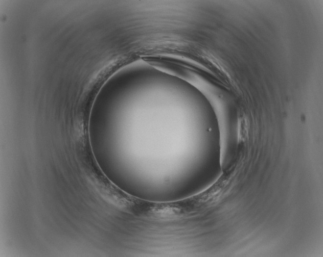 X0000070180407200606021037