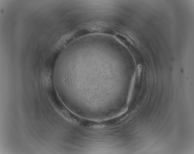 X0000070180408200606021037