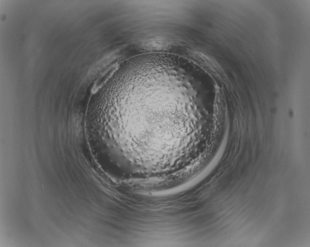 X0000070180409200606021037