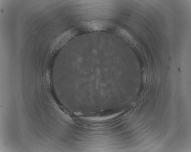 X0000070180410200606021037