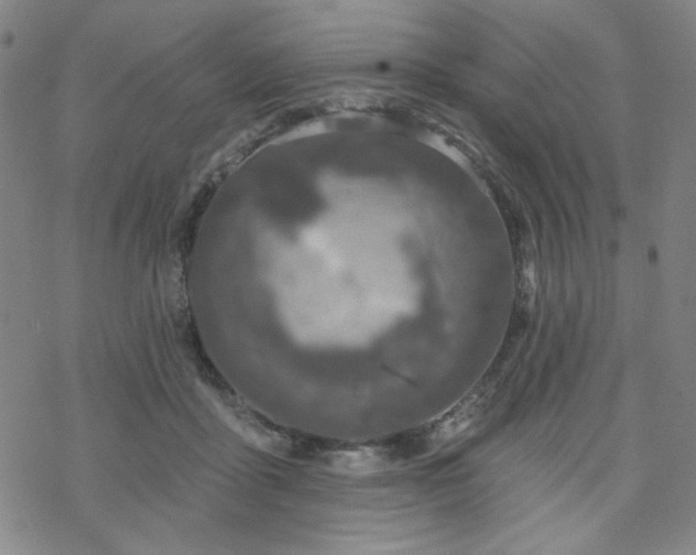 X0000070180411200606021037