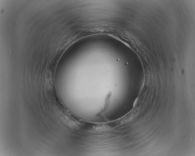 X0000070180414200606021037