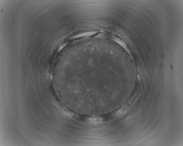 X0000070180415200606021037