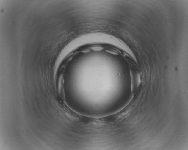 X0000070180416200606021037