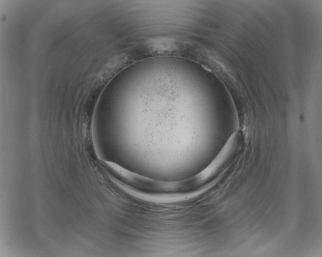 X0000070180417200606021037