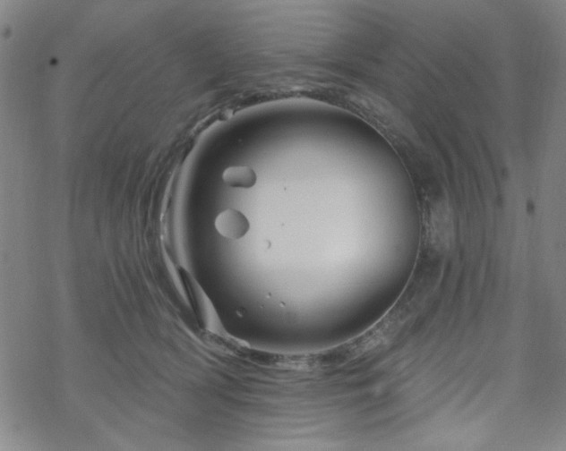 X0000070180418200606021037