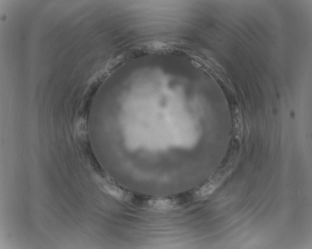 X0000070180419200606021037