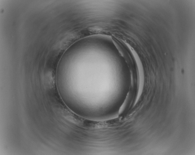 X0000070180420200606021037