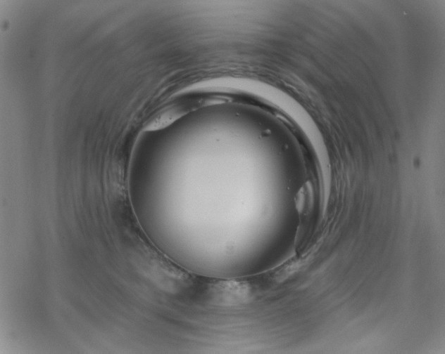 X0000070180421200606021037