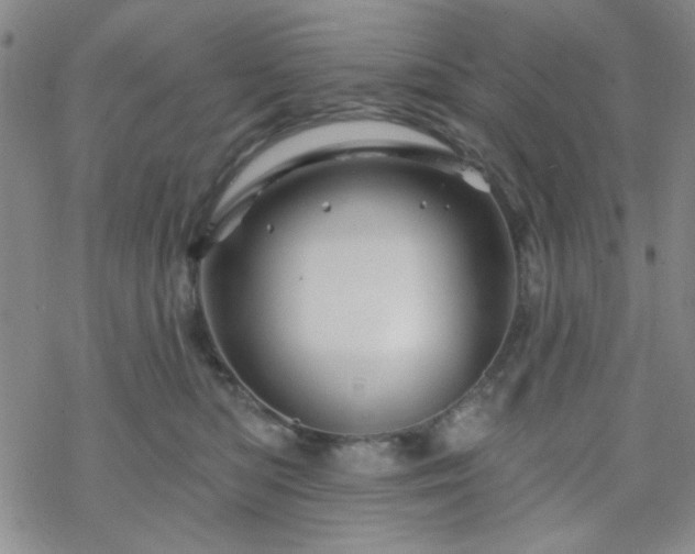 X0000070180422200606021037