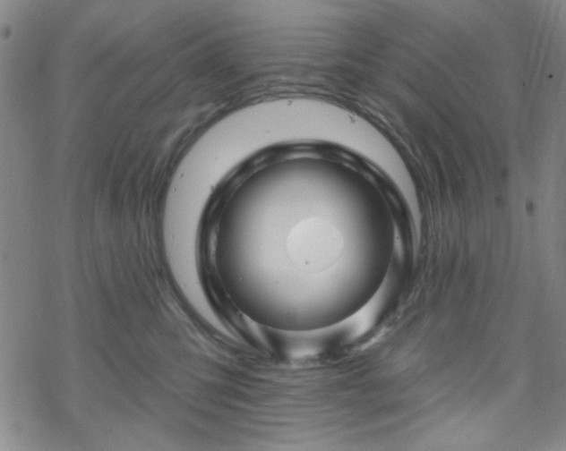 X0000070180423200606021037