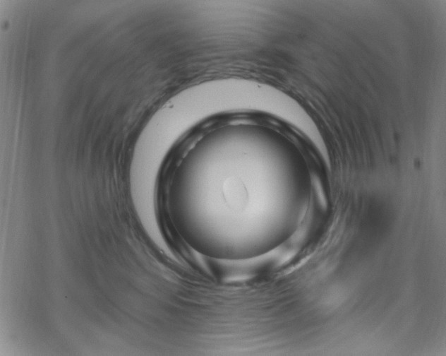 X0000070180424200606021037