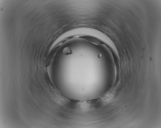 X0000070180425200606021037