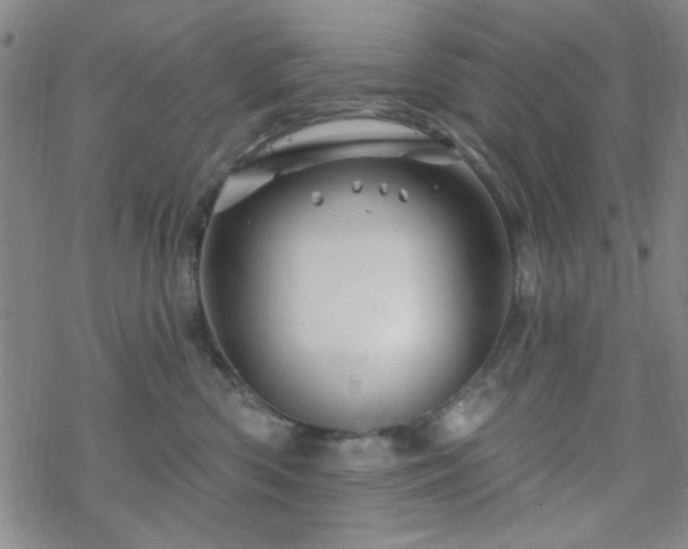 X0000070180426200606021037