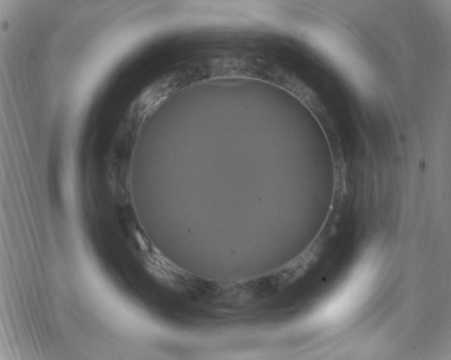 X0000070180431200606021037