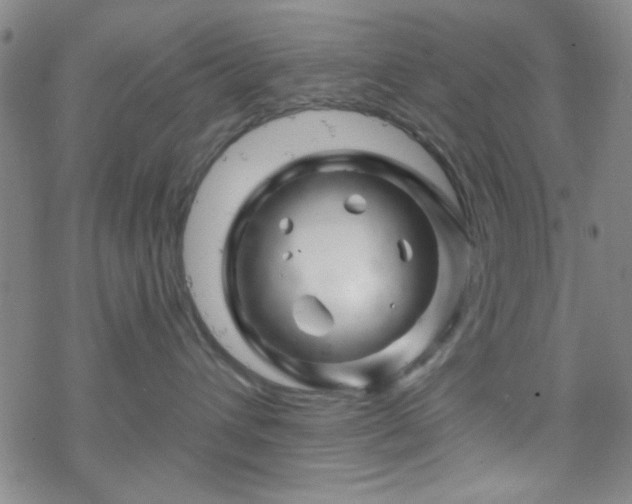 X0000070180432200606021037