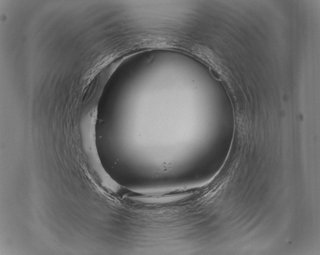 X0000070180433200606021036