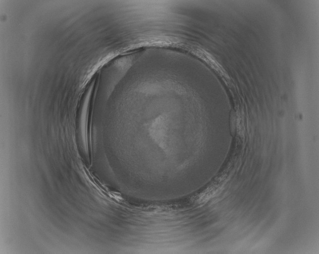 X0000070180434200606021036