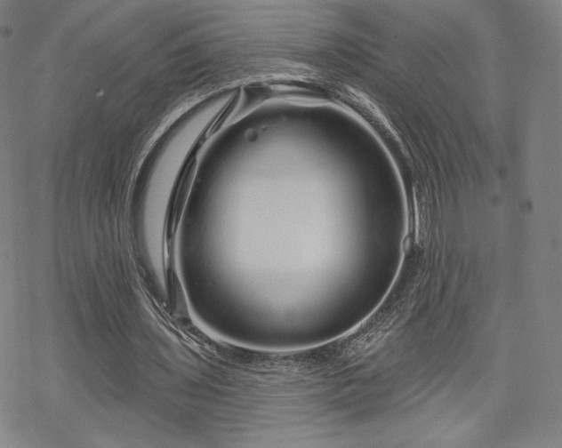 X0000070180435200606021036