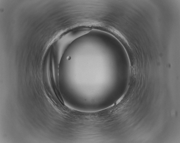 X0000070180436200606021036