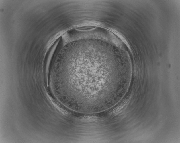 X0000070180437200606021036