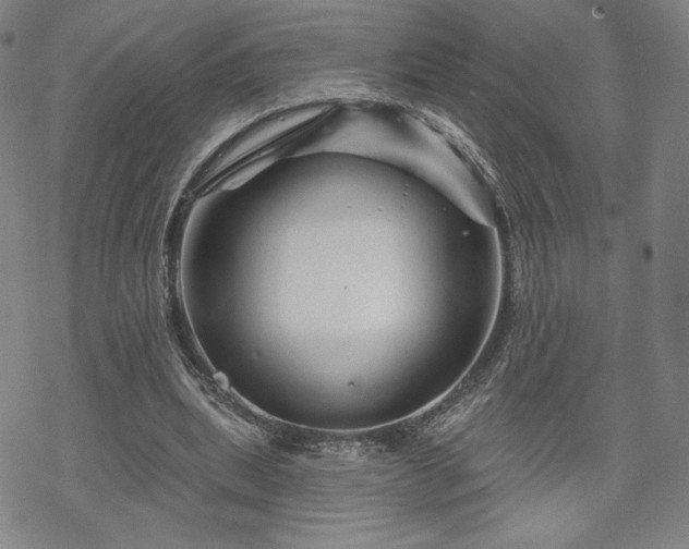 X0000070180439200606021036