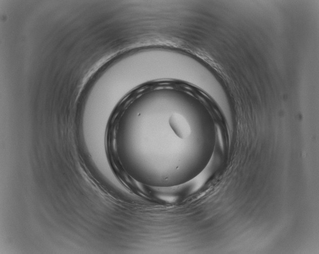 X0000070180440200606021036