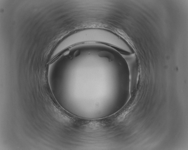 X0000070180441200606021036