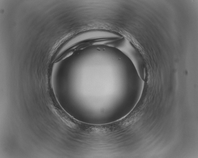 X0000070180442200606021036