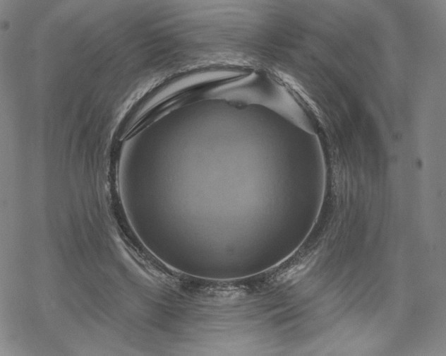 X0000070180443200606021036