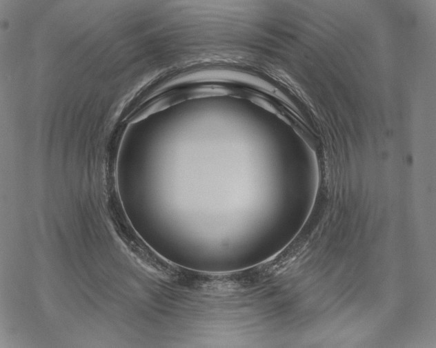 X0000070180444200606021036