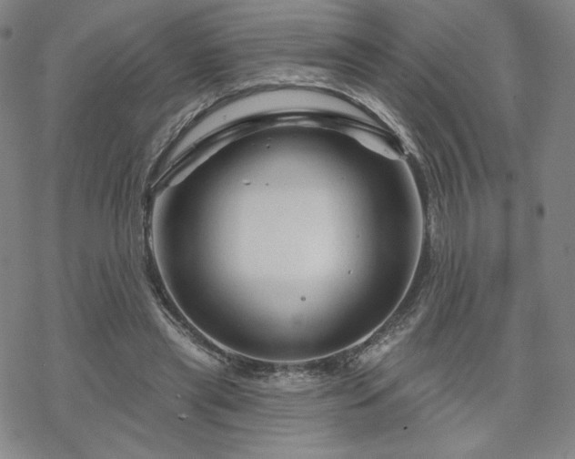 X0000070180445200606021036