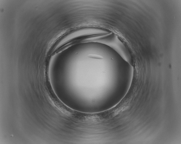 X0000070180446200606021036