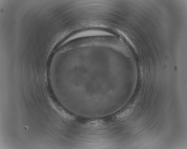 X0000070180447200606021036