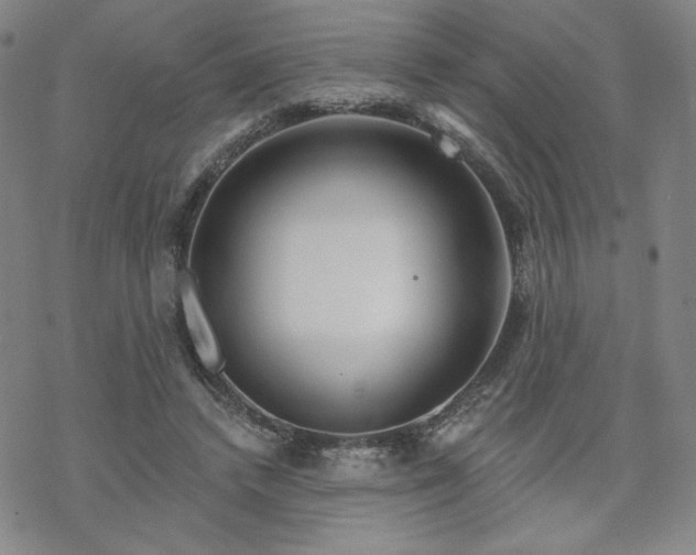 X0000070180448200606021036