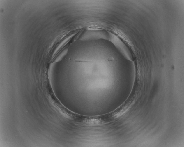 X0000070180449200606021036